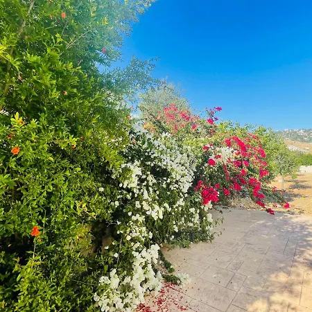 Beautiful Kwatera prywatna Pafos